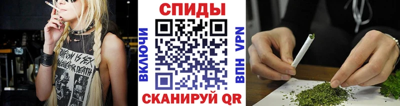 Купить закладки Онега Бутират Butirat