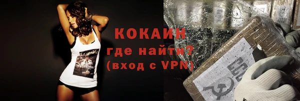 стаф Нея