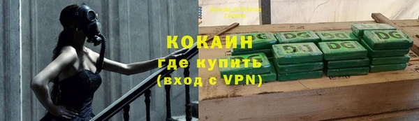 стаф Нея