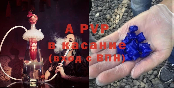 стаф Нея