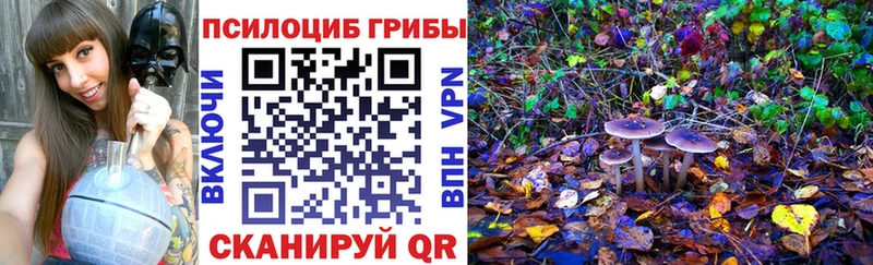 Купить  Онега  Галлюциногенные грибы MAGIC MUSHROOMS 